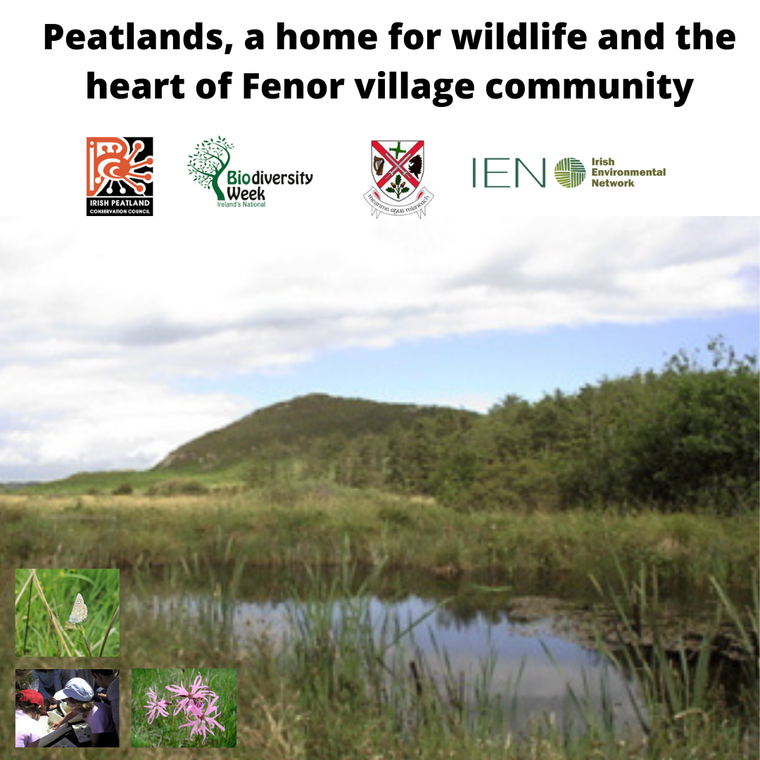 Peatlands, a home for wildlife and the heart of Fenor village community