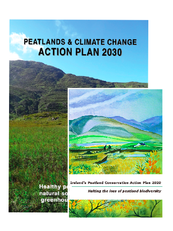 Fens in Ireland FactsheetIrish Peatland Conservation Council