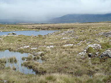 Fens in Ireland FactsheetIrish Peatland Conservation Council