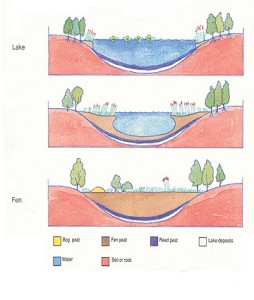 The formation of fen peatland habitats in Ireland