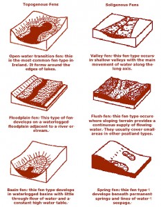 Irish Fen Types