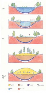 Irish Raised Bog Formation