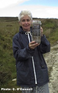 Bog Formation in a Bottle - IPCC Bogs in the Classroom