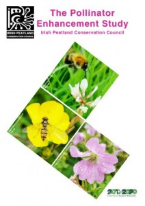 The Pollinator Enhancement Study 2020 Cover Image