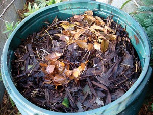 Compost in a Compost Cone