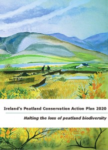 IPCC Conservation Action Plan for Peatlands in Ireland 2020