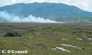 Fire on Roundstone Bog Complex, Connemara, Co. Galway associated with Turf Cutting