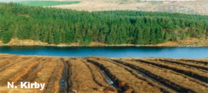 Drainage and Afforestation of part of the Roundstone Bog Complex in Connemara, Co. Galway