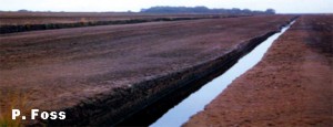 Industrial Peat Extraction from a Raised Bog in the Midlands of Ireland