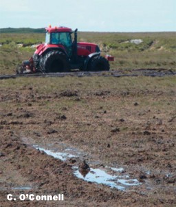 A Contractor cutting Turf on Roundstone Bog, Connemara, Co. Galway for private domestic use