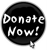 Donate-now-button