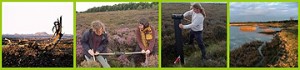 Peatland Management Techniques in Use in Ireland