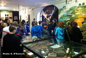 Guided Tour of the Bog of Allen Nature Centre Exhibition Hall, Co. Kildare, Ireland