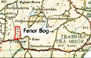Map of Fenor Bog, Co. Waterford