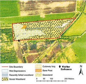 Lullymore West Bog, Co. Kildare Habitat Map 2007