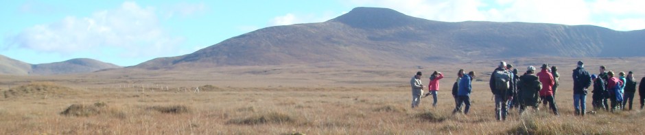 Fens in Ireland FactsheetIrish Peatland Conservation Council