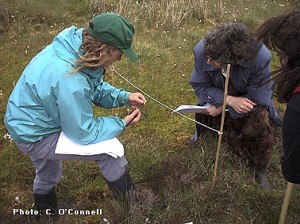 Secondary School visits Bog of Allen Nature Centre