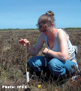 Measuring Water Levels on a Raised Bog
