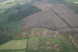 air photo Girley Bog NPWS