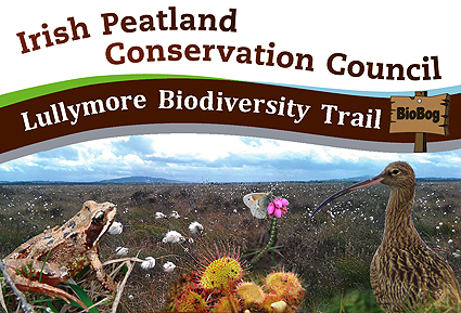 Fens in Ireland FactsheetIrish Peatland Conservation Council