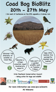 BioBlitz poster