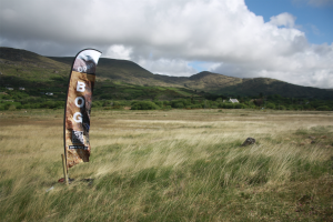 Coad Bog Bioblitz