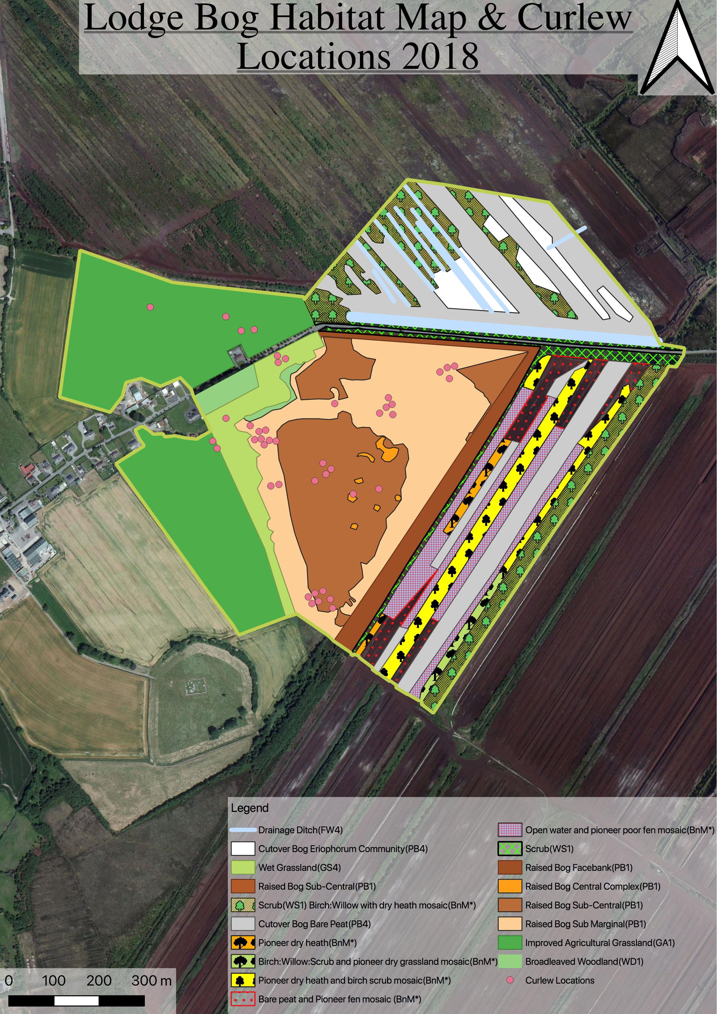 Lodge Bog Habitat Map & Curlew Locations 2018
