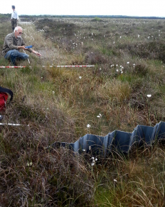 offset carbon bog restoration