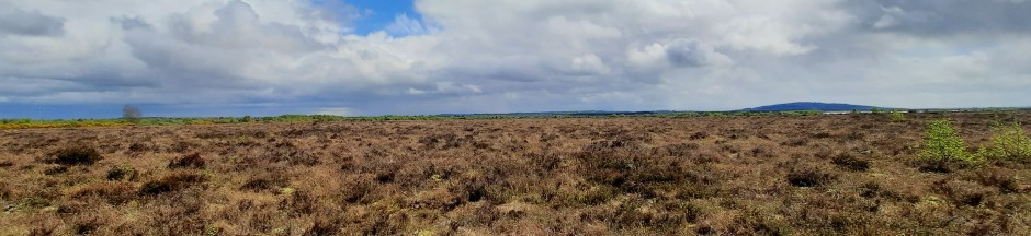 Fens in Ireland FactsheetIrish Peatland Conservation Council