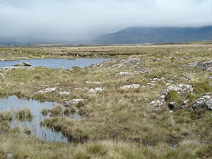 Irish Atlantic Blanket Bog Habitat